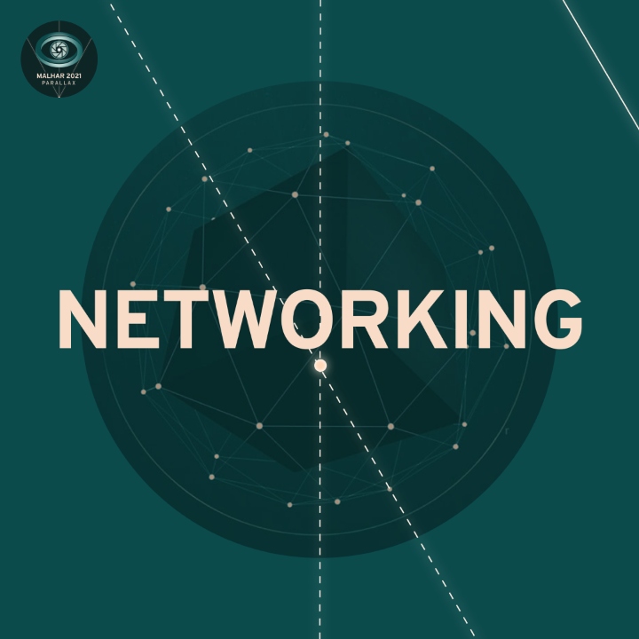 Networking Logo